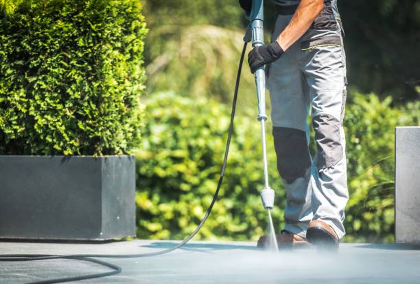 Best Building Exterior Washing  in Holtville, CA