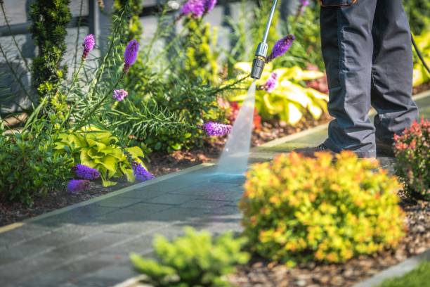 Best Spring Cleaning  in Holtville, CA