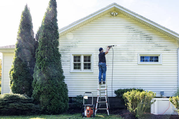 Best Patio and Deck Pressure Washing  in Holtville, CA